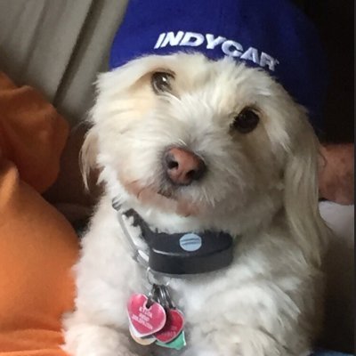 tjsmiles2441's profile picture. For the love of comedy