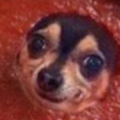 Zahir_Aguirre_'s profile picture. 