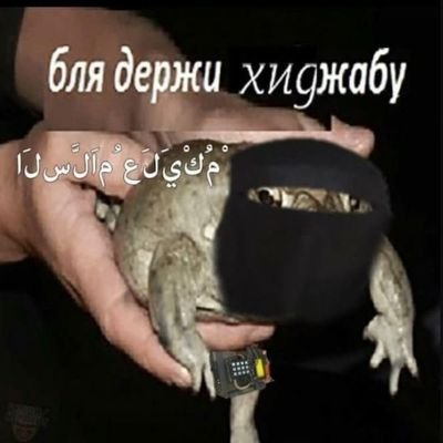 kocojamba's profile picture. да не буду я жåбу брать