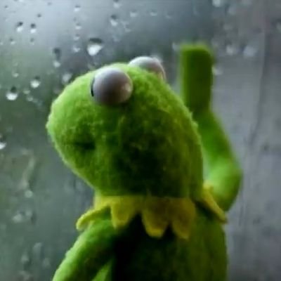 Rainreed3325's profile picture. 