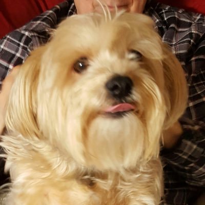 Otis77696104's profile picture. 