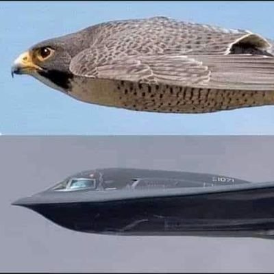 LDcdM3FQqTWSxyH's profile picture. معلم فيزياء بالرياض 
متابعة جميع المراحل التعليمية
جامعي انترناشونال
0560937487