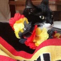 Nordmann 🇩🇪 (@blubi64) 's Twitter Profile