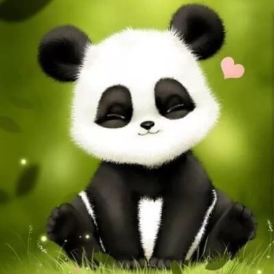 panda23 Profile