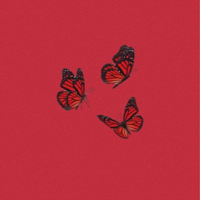 ttsc45's profile picture. 