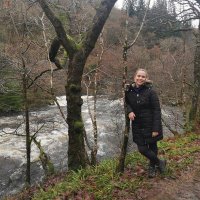 Rebecca Cheape (@cheaperebecca) 's Twitter Profile