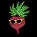 kush__beets (@beatskush) Twitter profile photo kush__beets (@beatskush) Twitter profile photo