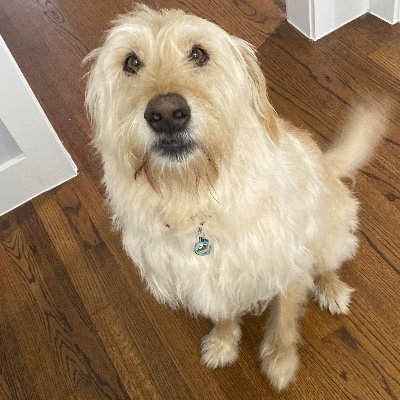 ninareinert's profile picture. 