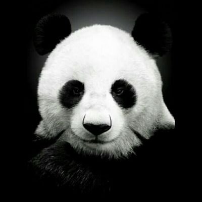 Anggrayas05's profile picture. ceilehh stalking🐼