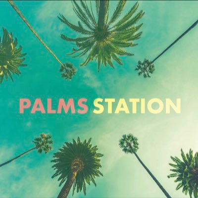 Palms Station is the project of Hillel Tigay. Art pop music for the soul…