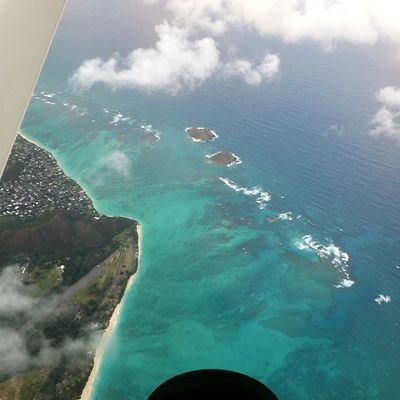 Trade_Jets's profile picture. 