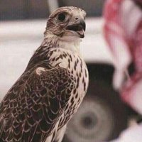 استغفر الله (@ttoor502) Twitter profile photo