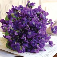 isabellacaotica2 (@isabelacaotoca) 's Twitter Profile