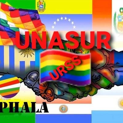 🌈 UNASUREÑOS UNIDOS POR UNA PATRIA GRANDE 🌠