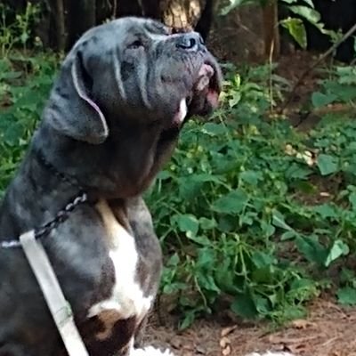 esteban1973's profile picture. 