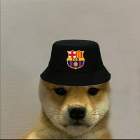 Franche2016 (@franche20161) 's Twitter Profile Photo