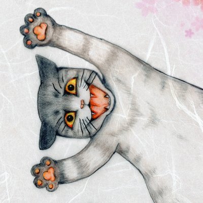 きじまさん(猫カフェおはぎ)さんのプロフィール画像