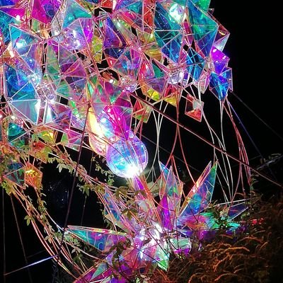 比較ゆいさんのプロフィール画像