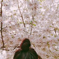 えびあさ🙋♀️ (@ebiasa_psyche) 's Twitter Profile Photo えびあさ🙋♀️ (@ebiasa_psyche) 's Twitter Profile Photo