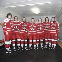 North Branch Hockey (@nbhshockey) 's Twitter Profile Photo