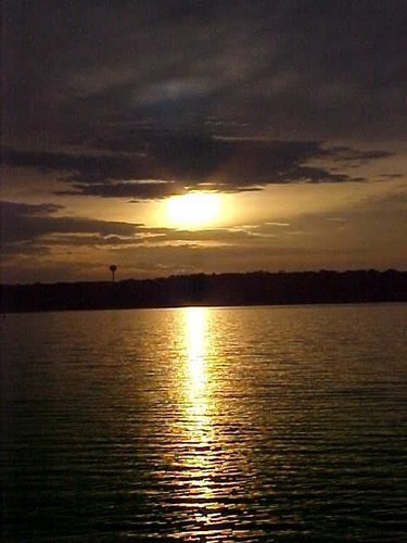 codonnell18's profile picture. mother, wife, elementary principal, Panther fan