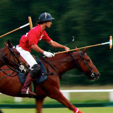 tackdirectuk's profile picture. Tack Direct is an internet retailer of horse tack products to the UK market. Huge range of items all available to view and buy online.