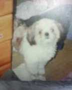 asahi590948's profile picture. 