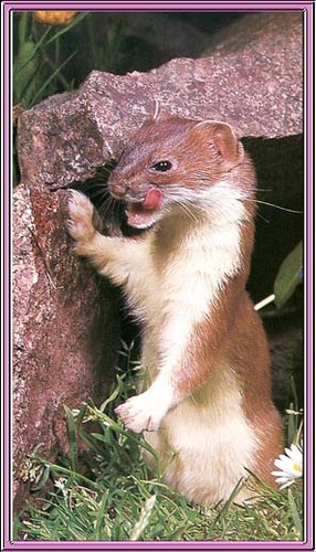 Onedaygreen's profile picture. Soon-to-be (and chuffed to bits) New Dad !  Lifetime Cyclist, X1/9 driver and Rush Fan.....!