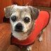 MTG (@berniedog) Twitter profile photo MTG (@berniedog) Twitter profile photo