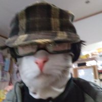 竹流 (@fuc5i86da4f2fgd) 's Twitter Profile