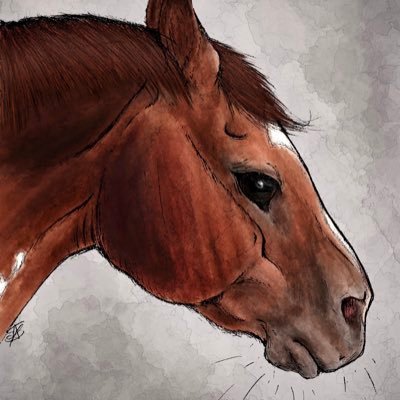 realmagpiehours's profile picture. Blue | they/he 💛 Idk what to put here but I do hair so that's cool 💇🏼