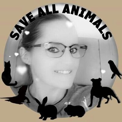 HR Manager @ALPR_Lost_Pets & @FoundHearts4660, Whovian & Gareth David Lloyd (@pancheers) fan.
