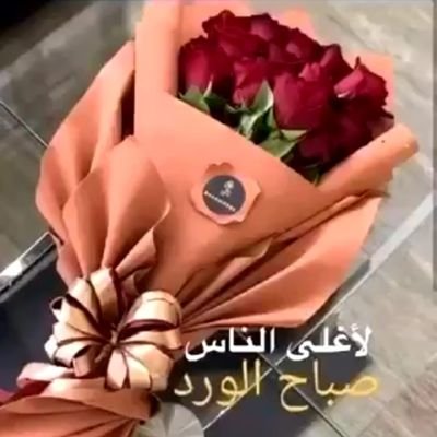 K3cppmTdtzn96VT's profile picture. حبوب والطيف ومحب