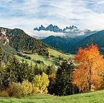 abu_fahed_1's profile picture. 