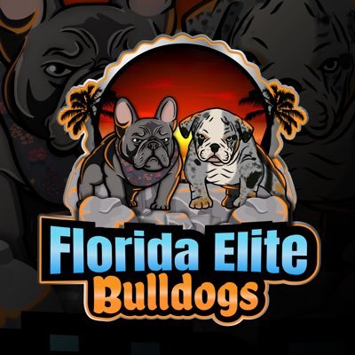Follow us on Instagram: @ FloridaEliteBulldogs