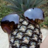 ☀🌾🍍TalkingPineapple 🍍🌾☀(@BeingQuang) 's Twitter Profile Photo