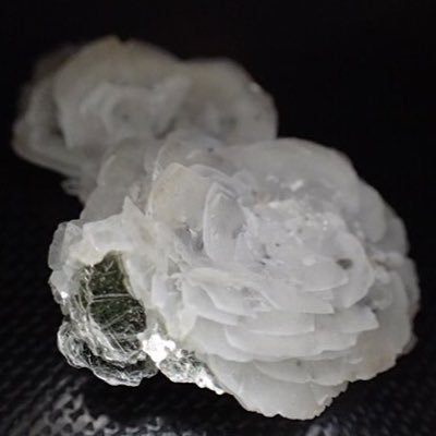 朝比奈さんのプロフィール画像