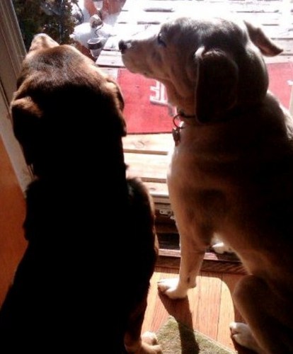 khart332's profile picture. 