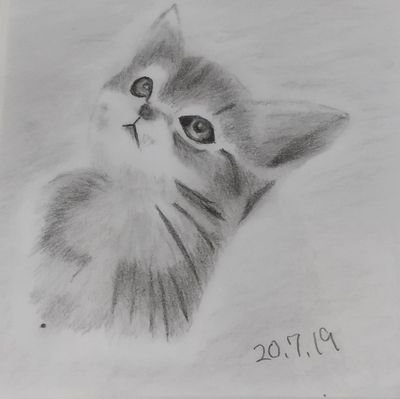ビジネスおねえのにゃんてさんのプロフィール画像