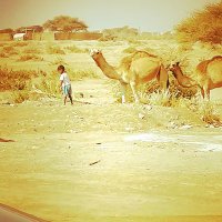 إبراهيم الخروصي أبو إسحاق (@ibrahim99069) Twitter profile photo