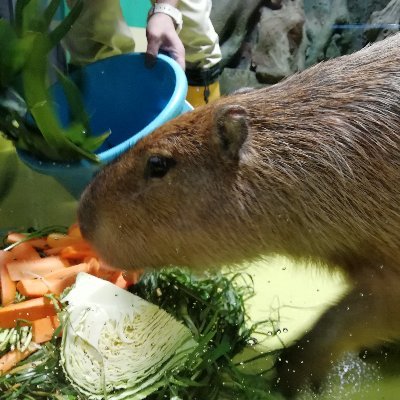 冬洞さんのプロフィール画像