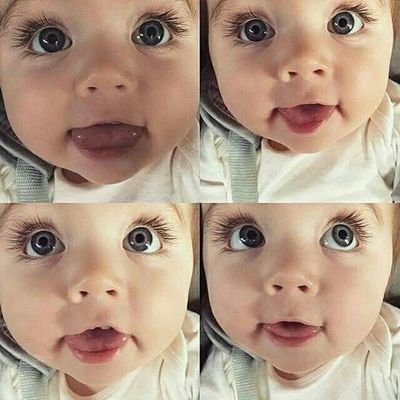 Maharanicitraa's profile picture. 🌻🌻🌻