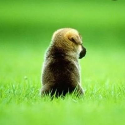 Eiff46295706's profile picture. 😋