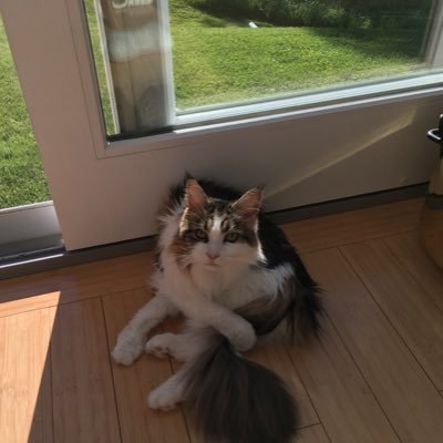 OneAndOnlyDF's profile picture. dead