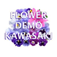 フラワーデモ川崎 (@fd_kawasaki) 's Twitter Profile