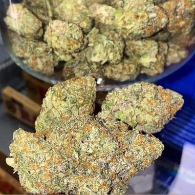 please contact me here :
whatsapp : +1(248)3828416
wickr me : richgan