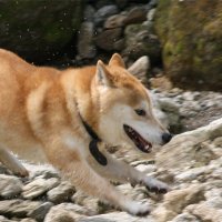 old_world_reverse (@reverseold) 's Twitter Profile
