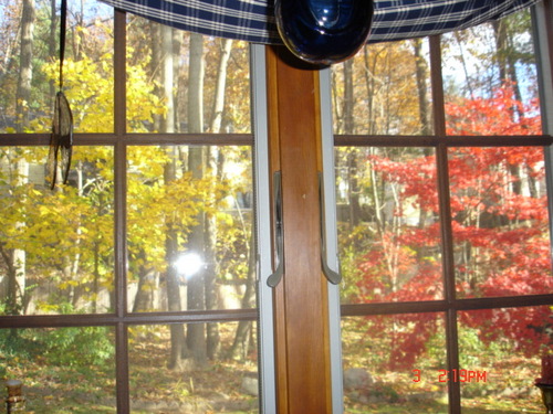 exactlyso's profile picture. 