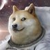 Doge Boi (@NckWild) Twitter profile photo