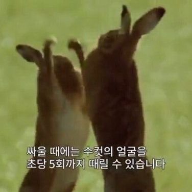 us 총공계